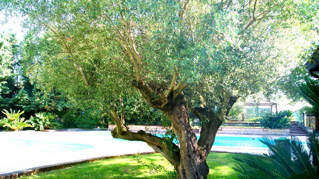 Agriturismo La Colombaia Capua Exterior foto